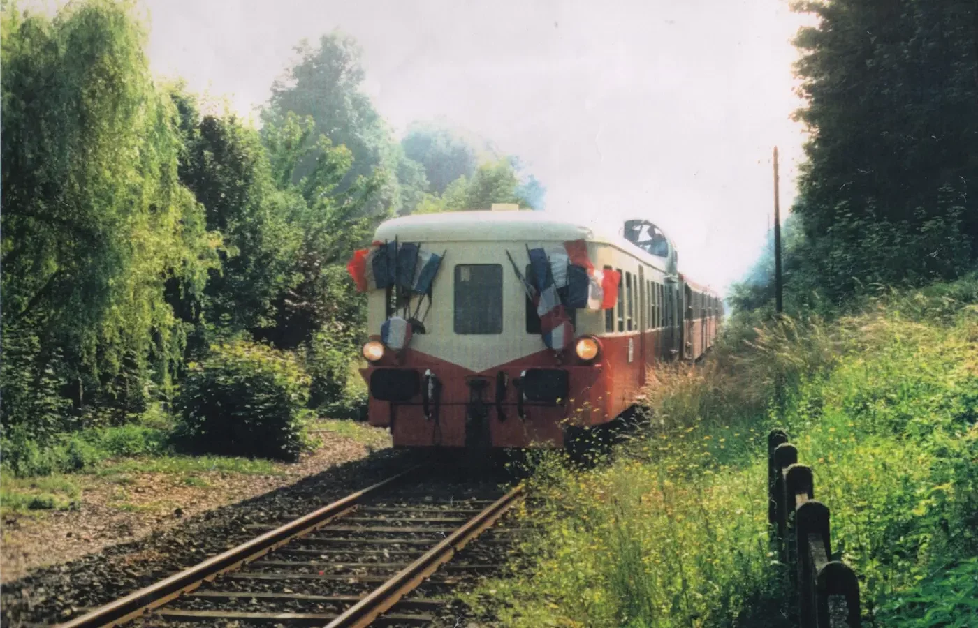 A singular tourist train